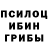 Псилоцибиновые грибы MAGIC MUSHROOMS Rune Dahl