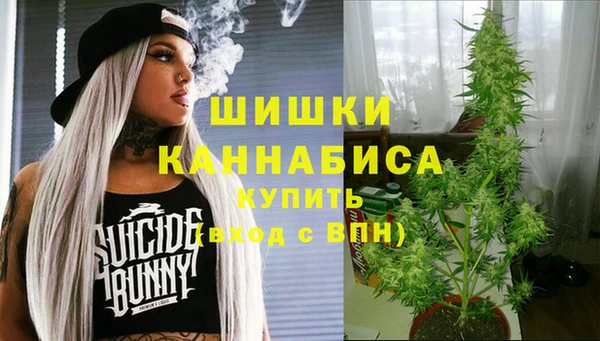 дурь Медвежьегорск