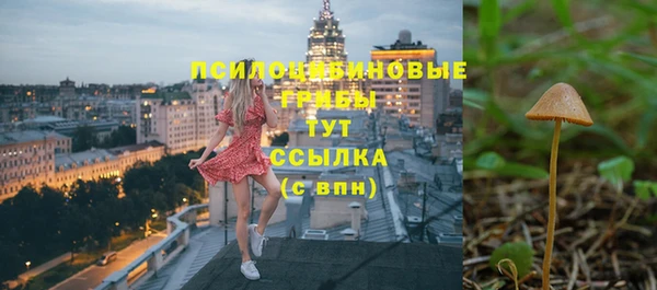дурь Медвежьегорск