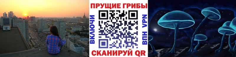 Галлюциногенные грибы мухоморы  Рыбное 